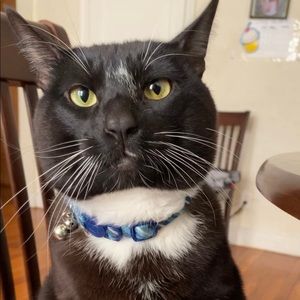 Meet your Posher, Andrew